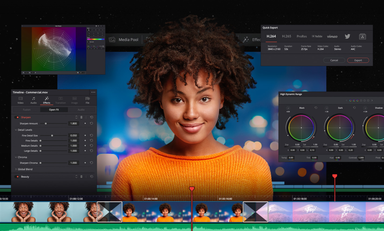Fusion Studio DaVinci Resolve Studio 語学・辞書・学習参考書
